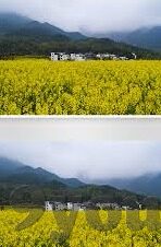 9足球比分直播-足球比分直播，绿茵场上的实时心跳与数字狂欢