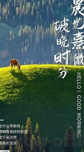 球探足球比分预测-揭秘球探足球比分预测，数据与直觉的完美融合艺术