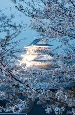 外围足球比分直播网-外围足球比分直播网，球迷的实时信息港湾与理性观赛指南