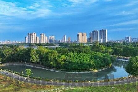 乌奎拉足球比分-探秘乌奎拉足球比分背后的激情与策略，一场数据与热血的交响曲
