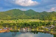 足球比分单场投注-足球比分单场投注，策略、风险与智慧博弈的艺术
