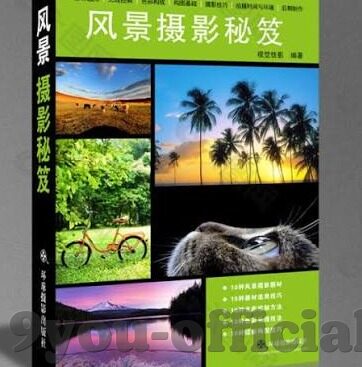 足球比分什么意思-从数字密码到绿茵故事，足球比分背后的竞技逻辑与情感密码